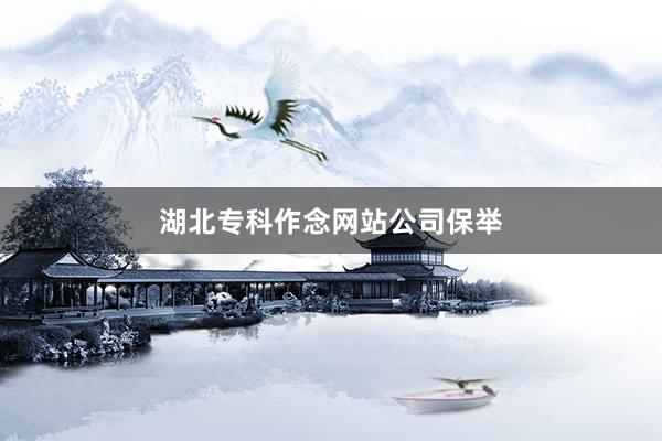湖北专科作念网站公司保举