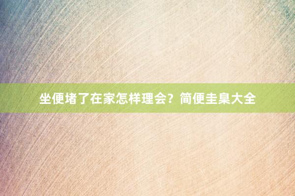 坐便堵了在家怎样理会？简便圭臬大全