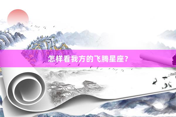 怎样看我方的飞腾星座？