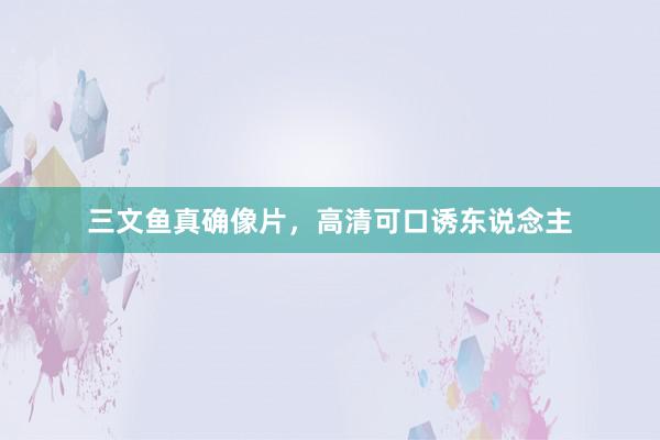 三文鱼真确像片，高清可口诱东说念主